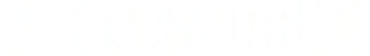 eckoshop.com.br